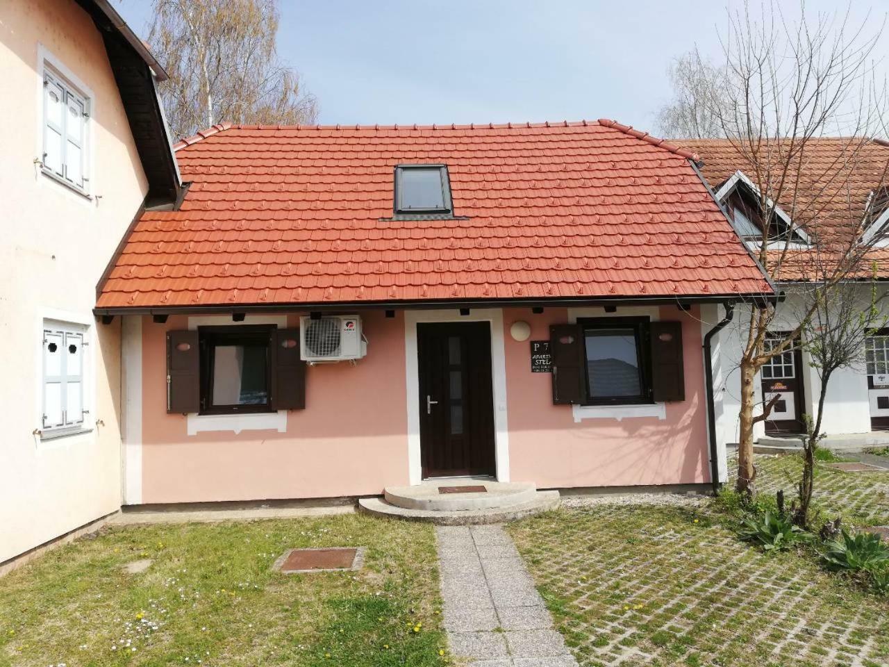 Apartma Stela In Terme Catez Чатеж-об-Саві Екстер'єр фото